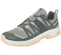Wanderschuh SALOMON "EXTEND 2 GORE-TEX", Herren, Gr. 49, monument, urban chic, sea foam, Synthetik, Textil, Schuhe Wanderschuh, wasserdicht (23344807-49) monument, urban chic, sea foam