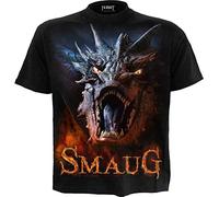 Heroes Spiral Direct The Hobbit Smaug Short Sleeve T-shirt Braun S Mann (Herstellerartikelnummer: G301M101-S)