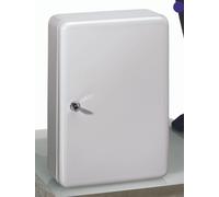 WEDO Schlüsselkasten mit 110 Sicherheitsschloss lichtgrau