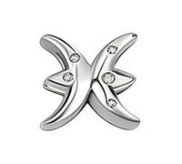 WEIMU Charms Sternzeichen für Armband 925 Sterling Silber 12 Sternbilder Charms Beads ，Armband Halskette Valentinstag Muttertag, für Europäische Armbänder Halskette (Zwei Fische)