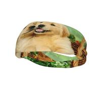 Welpe Golden Retriever Print Sport Laufen Stirnband Herren Damen Workout Schweißbänder Stirnbänder für Yoga Gym Camping