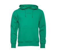 Werder Bremen SV GOTS IC Hoodie Werder grün Gr. M