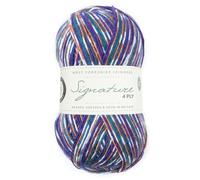 West Yorkshire Spinners Signature 4-lagiges Socken-Garn, 1169 Starling, Wolle-Nylon-Mischung