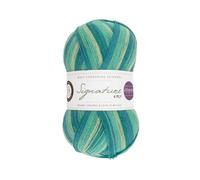 West Yorkshire Spinners Signature 4ply Winwick Mum Collection Seascape 873 100g Sock Garn