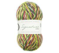West Yorkshire Spinners West Yorkshire Strickwolle - Spinners Signature - 4-lagig - Sockenfingering British - 1170 Grünspecht