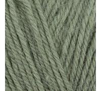 West Yorkshire Spinners Wool Revival DK 1263 Salbei