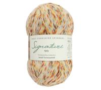 West Yorkshire Strickwolle - Spinners Signature - 4-lagig - Sockenfingering British - 1243 kleines Schildpatt