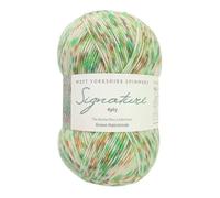 West Yorkshire Strickwolle - Spinners Signature - 4-lagig - Sockenfingern British - 1246 Green Hairstreak