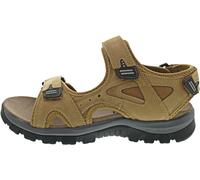 Westland Auxerre 01 45 braun