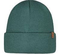 Willes Beanie CEDAR