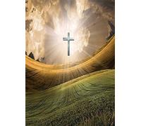 Wingkin Erwachsene Kreuzstich Stickpackungen Kit christliches kreuz 11CT Stickbild Stickvorlagen Vorgedruckt Kreuzstich Set DIY Kunst für Anfänger Kinder Geschenk (40x50cm)