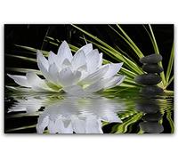 Wingkin Erwachsene Kreuzstich Stickpackungen Kit Zen-Lotus 11CT Stickbild Stickvorlagen Vorgedruckt Kreuzstich Set DIY Kunst für Anfänger Kinder Geschenk (40x50cm)