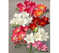 Wingkin Kreuzstich Stickpackungen farbenfrohe Blumen 11CT Erwachsene Sticken Set,DIY Stickbilder Vorgedruckt Kreuzstich für Anfänger Home Decor （40x50cm ）