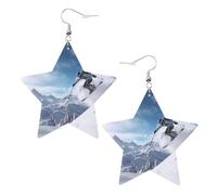 Winter-Ski-Bild-Stern-Ohrringe, Anhänger, 2 Stück, stilvoll und schön, leicht, baumelnd für Frauen und Mädchen, Einheitsgröße, Leder