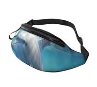 Winter The Delphin Bauchtasche für Herren und Damen, modisch, zum Laufen, wasserdicht, Crossbody-Tasche, Überall, Gürteltasche mit verstellbarem Riemen, Sport-Hüfttasche für Reisen
