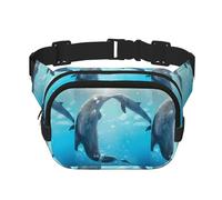 Winter The Dolphin Unisex Verstellbare Taille Quadrat Doppellagige Hüfttasche für Outdoor-Aktivitäten Reisen Laufen Wandern, Schwarz , Einheitsgröße