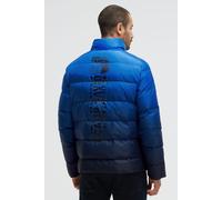 Winterjacke CAMP DAVID, Herren, Gr. S, blau, Steppware, Material Oberstoff: 100% Polyester, Futter Rumpf: 100% Polyamid, Futter Ärmel: 100% Polyester, Füllung: 100% Polyester, bedruckt, bestickt, regu