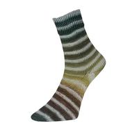 Woolly Hugs Paint Socks von Veronika Hug,4-fädig,100g/420 m,75% Schurwolle/25% Polyamid,2 identische Socken stricken, (206 GRAU GRÜN)