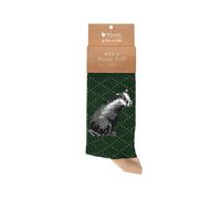 Wrendale Design Badger Men's Socks - A Country Gent