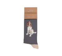 Wrendale Design Spaniel Men's Sock - Willow