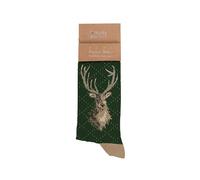 Wrendale Design Stag Men's Sock - Portrait of a Stag
