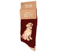 Wrendale Designs Herren Socken Labrador Good as Gold | WD-SOCKM011