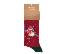 Wrendale Designs Herren Socken Rotkehlchen Season's Tweetings | WD-XSOCKM007