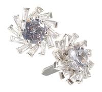 WRITWAA 2 Stück Glänzende Schuhapplikation Funkelnder Zirkonia Schuhdekoration für High Heels und Slipper DIY Schmuck für Damen Langlebiges Legierungsmaterial Einfach zu Befestigen