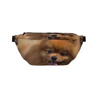 WSHFFILO Gürteltasche mit gelbem Pomeranian bedruckt, lässige Brusttasche