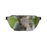 WSHFFILO Umhängetasche mit rotem Eichhörnchen-Motiv, lässige Brusttasche