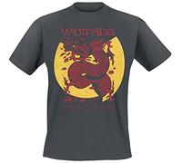 Wu-Tang Clan T Shirt Inferno Logo Nue offiziell Herren Charcoal Grau S