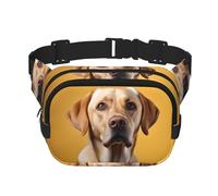 WZYCWB Labrador Hund Portrait Sport Hüfttasche Trendy und Mode Crossbody Tasche Leichte Reise Kleine Tasche