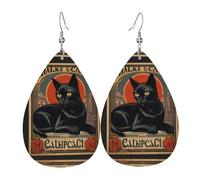 WZYWHJ Schwarze Katze Poster Muster Wassertropfen Anhänger Ohrringe Leder Ohrringe Damen Modeartikel