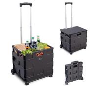 Xcase Einkaufstrolley: 2er-Set klappbare Einkaufstrolleys, Teleskop-Griff, Deckel, 2 Rollen (Rollerwagen, Transporttrolley, Roller)