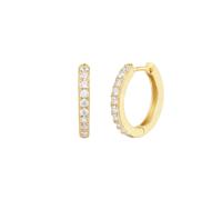 XENOX Creolen - MODERN BASIC - XS10351G gold