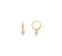 XENOX Creolen - XG14K6054G gold