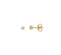 XENOX Ohrstecker - XS3515G gold gold