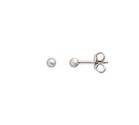 Xenox XS3505N Ohrringe Ohrstecker Modern Classic Silber Matt Ø 3 mm