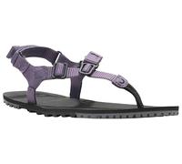 Xero Shoes H-trail Sandalen Sage Purple EU 38 1/2 (HTW-SGPU-W08)