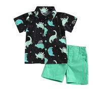 XIXIMAON 2-teiliges Set für den Sommer für Kinder, 2-teilig, kurzärmeliges Hemd mit Tierdruck, einfarbig, für Strand, Meer, Urlaub, für Jungen von 6 Monaten bis 7 Jahren, Grün 2, 3-4 Jahre