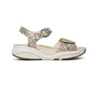 Xsensible Skala für Damen, animal, Größe 42 EU