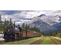 XZJXGZ Stickset Stickbilder Kreuzstich Vorgedruckt Eisenbahn 40x50cm vorgedruckt Stickset Stickvorlage Stickbild Stickerei 14CT DIY (Vorgedruckte Leinwand)