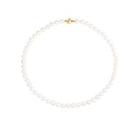 YAMOKO Kette 87753476