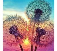 YEESAM ART Diamant Malerei Kits, Löwenzahn und Sonne 30x30 cm DIY 5D Diamond Painting Strass Stickerei