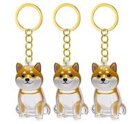 YIZITU 1. 2/3/4/5/10pcs Clear Pet Memorial Schlüsselbund Mit Speicherfach Für Katzen Hunde Liebhaber Sympathie Anhänger Miniatur Pet Memorial Keyring