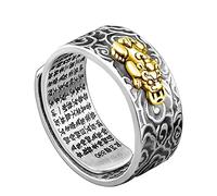 YOMIIN Ring Damen Silber 925, Feng Shui Ringe für Männer Frauen Reichtum Glück Amulett Ring Offener verstellbarer Ring Sterling Silber Ring