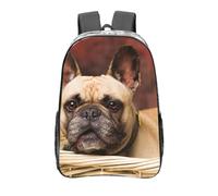 YXDVPALNE Französische Bulldoggen Mall Welpe braun kleine Hunde, 16 Zoll Rucksack Casual Daypack Transparent Rucksack Wasserabweisend Schultasche