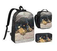 YXDVPALNE Rottweiler schlafende Hunde Haustiere Welpen klein, Studenten Rucksack, Lunchtasche, Federmäppchen, 3-teiliges Set