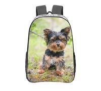 YXDVPALNE Yorkshire Terrier kleiner Welpe Haustiere Hunde, 16 Zoll Rucksack Casual Daypack Transparent Rucksack Wasserabweisend Schultasche