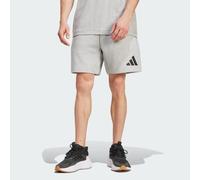 Z.N.E. Shorts Medium Grey Heather M